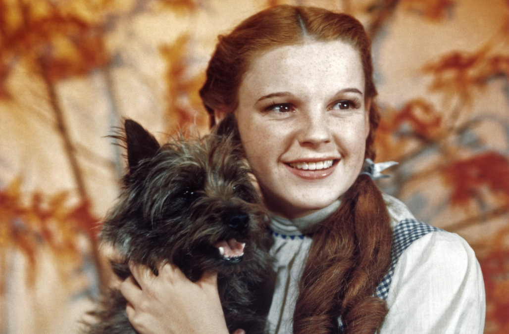 Judy Garland em "O Mágico de Oz"