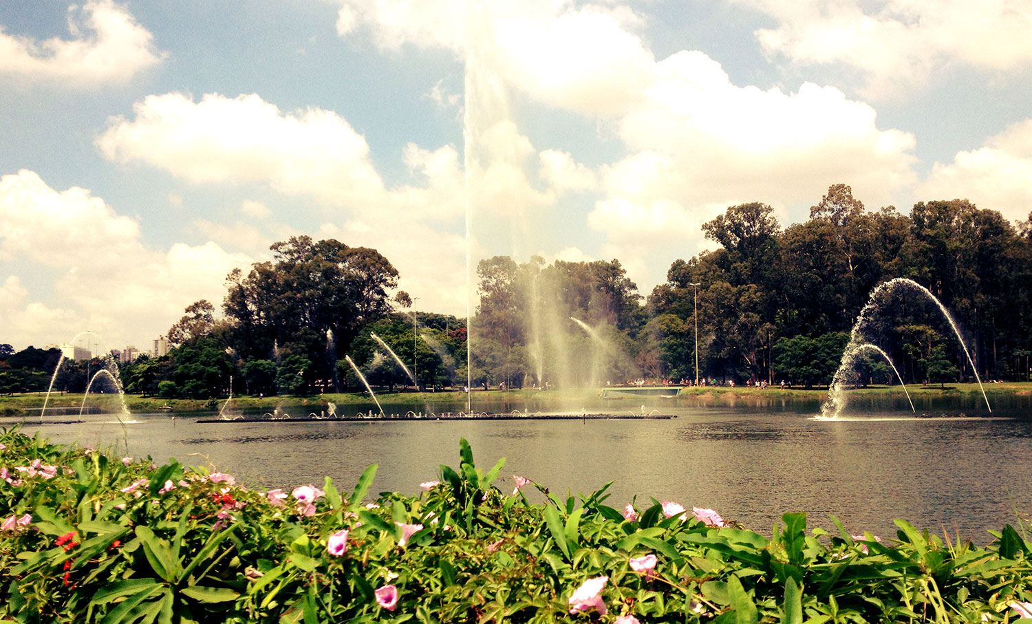 Parque do Ibirapuera tem cinema ao ar livre | Super Cinema UP